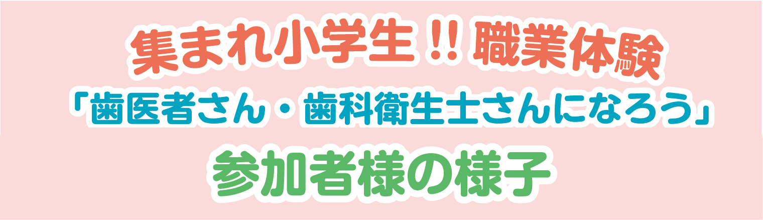 職業体験参加者の感想